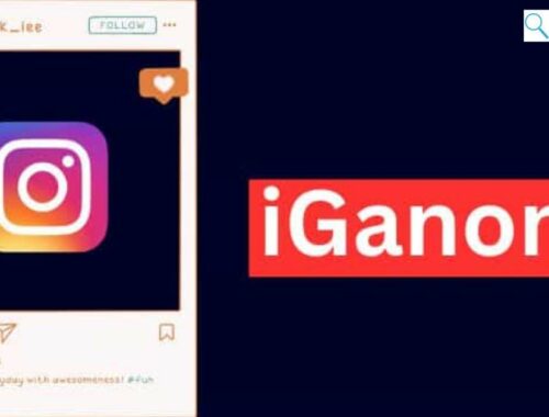 Unlocking Instagram Anonymity with IgAnony: A Closer Look at the Story Viewer