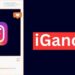 Unlocking Instagram Anonymity with IgAnony: A Closer Look at the Story Viewer